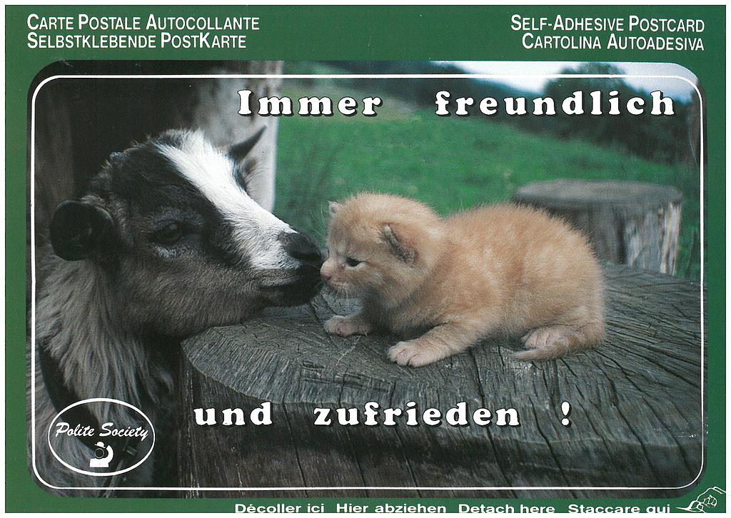 [CP 206560] Postcards SK 376 Stickers 'Immer freundlich und zufrieden!'