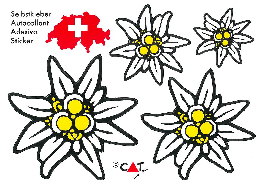 [CP 206806] Postcards SK 465 Stickers Edelweiss