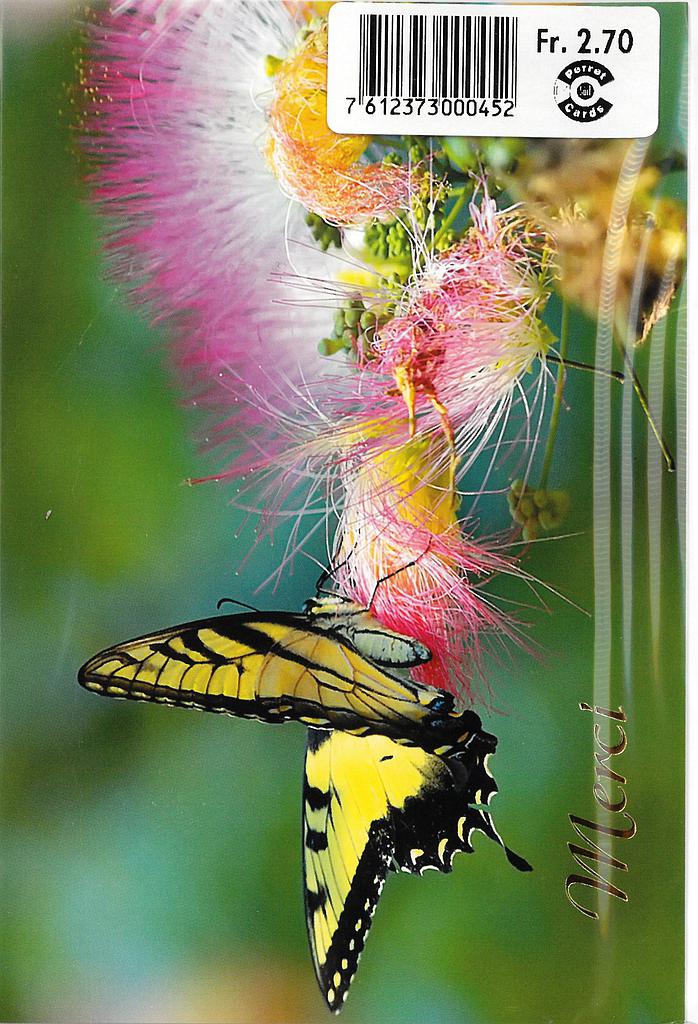 [A6-MC 13] Carte Merci (copy)