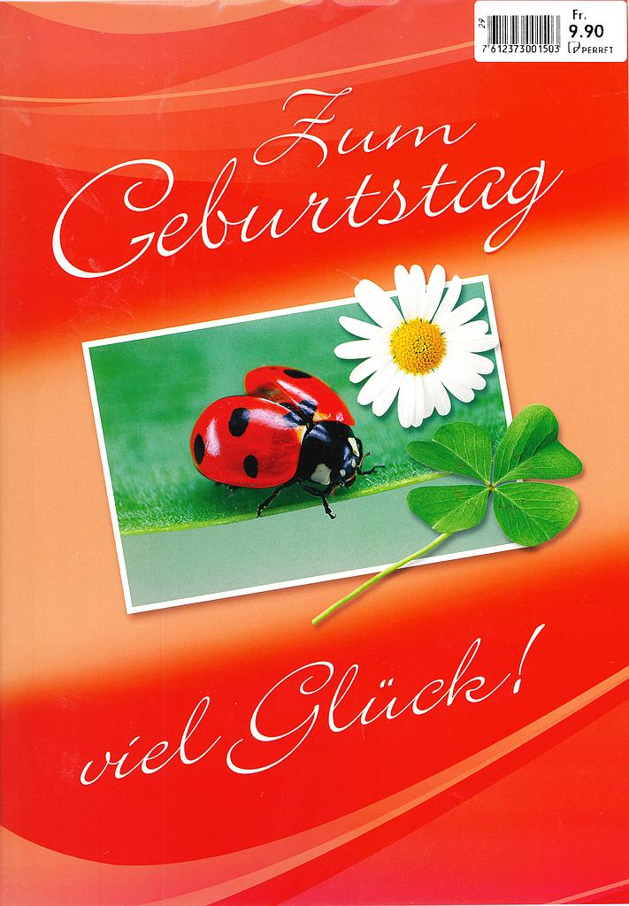 [A4-GB 29-10-001] Karte A4 Geburtstag
