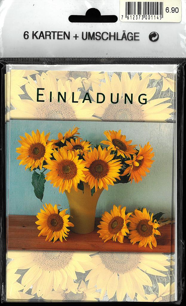 [MP6-Ei K-9517] Beutel mit 6 Doppelkarten Einladung