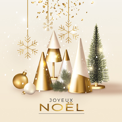 [#JN 970-8667-F] Carte Joyeux Noël