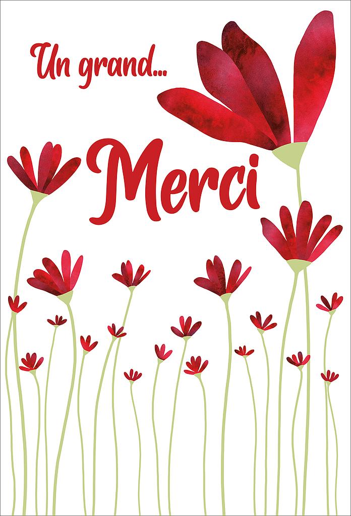 Carte Merci