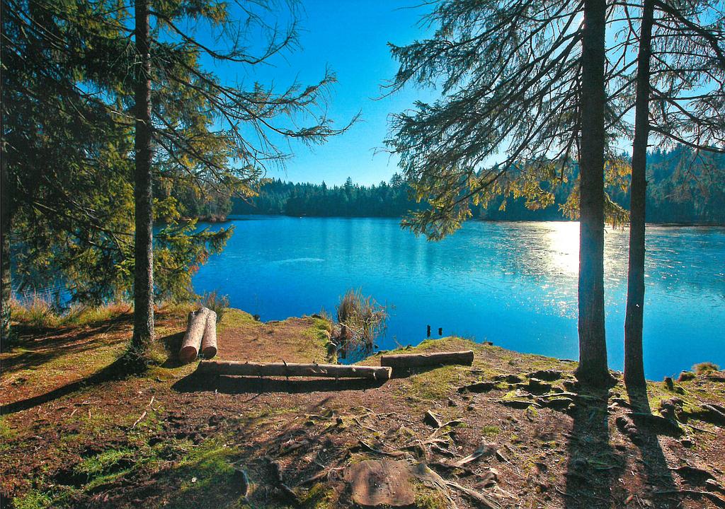 Plakat Etang de la Gruère