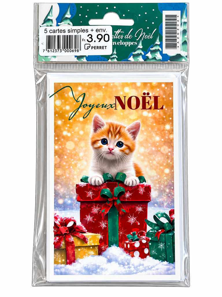 Mélange de 10 sachets de 5 cartes simples Noël