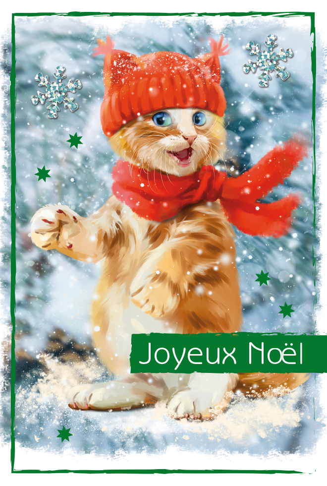  Mélange de 10 cartes à 3.90 Joyeux Noël