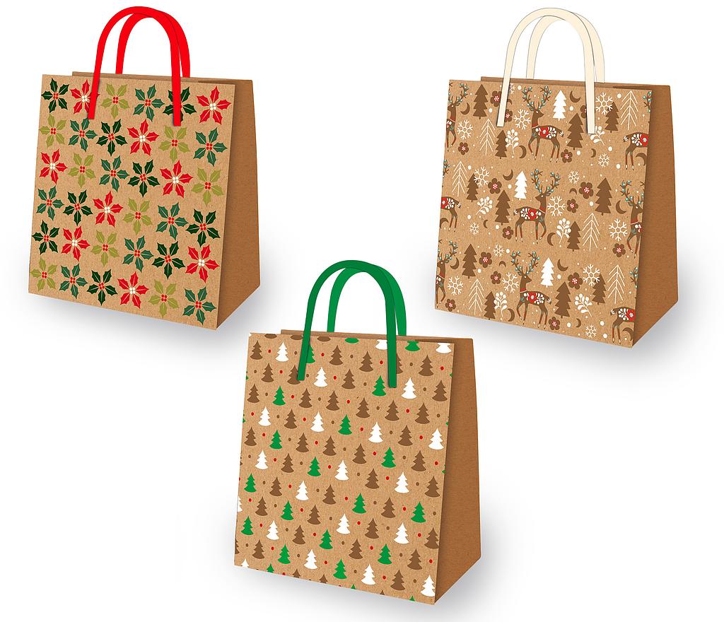 Sacs-cadeaux M Fr. 2.90/pce x10 (UV)