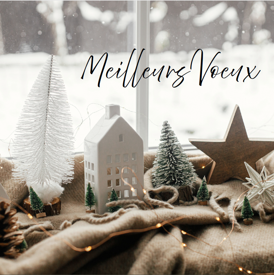 [#Q5-MV 6o03] Carte Joyeux Noël et Bonne Année