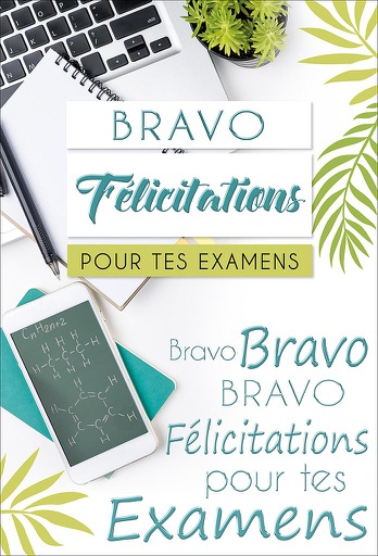 [EX 521353-1] Carte Examens