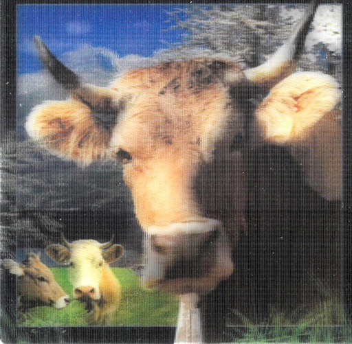 [MG 3101101] Aimant Vache Suisse 3D