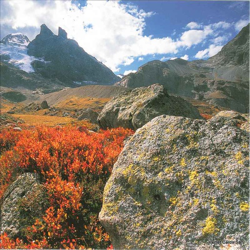 [6751093] Postcards 14,8x14,8cm 51093 Aletsch