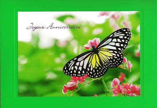 [#A5-HA UK-8051] Carte A5 Anniversaire