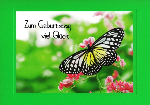 [#A5-GB UK-8051] Karte A5 Geburtstag
