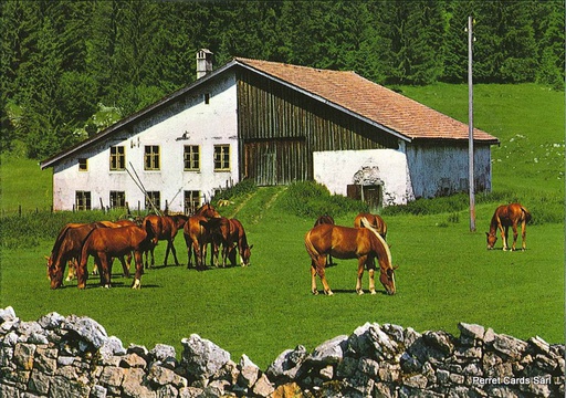 [1021075] Postcards 21075 Franches-Montagnes (Aux pâturages)