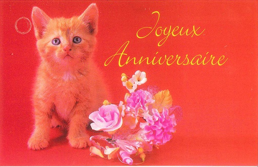 [MN-TE HA 529A] Mini cartes simples Anniversaire