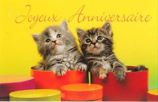 [MN-TE HA 549] Mini cartes simples Anniversaire