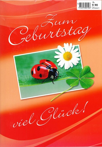 [A4-GB 29-10-001] Karte A4 Geburtstag