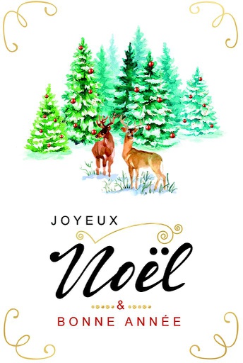 [MV 752203] Carte Joyeux Noël et Bonne année