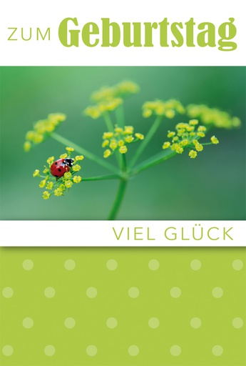 [#GB 4-5260] Karte Geburtstag
