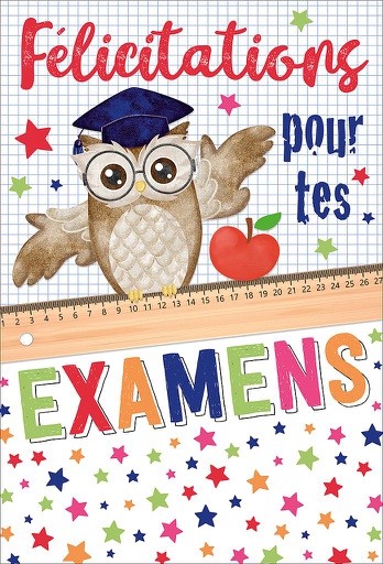 [EX 524356A] Carte Examens