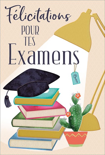 [EX 524356D] Carte Examens